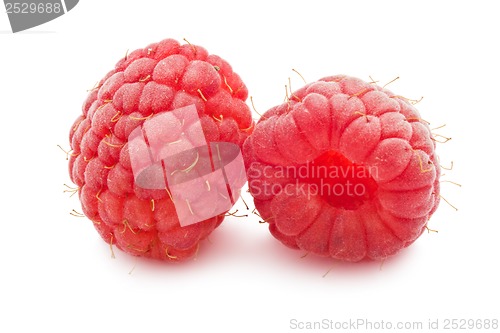 Image of Fresh raspberries