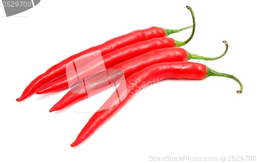 Image of Hot chili pepper