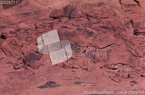 Image of Red Rock Canyon