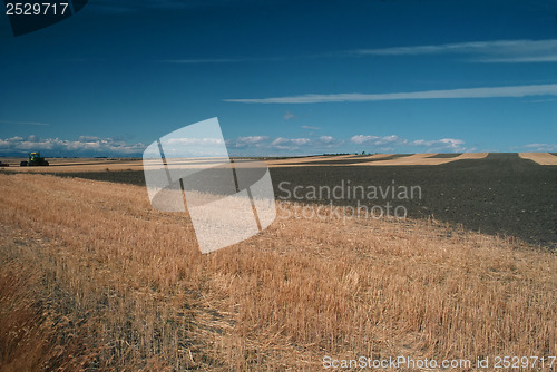 Image of Ploweds field in Montana