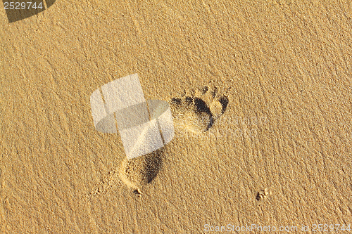 Image of Footprints