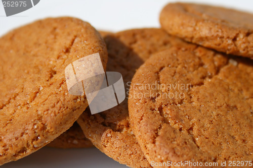 Image of ginger biscuits