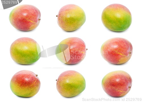 Image of Mango