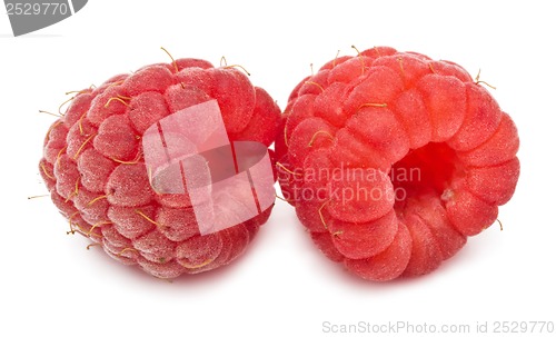 Image of Fresh raspberries