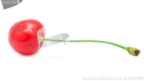 Image of Red cherry