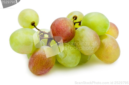 Image of Grapes