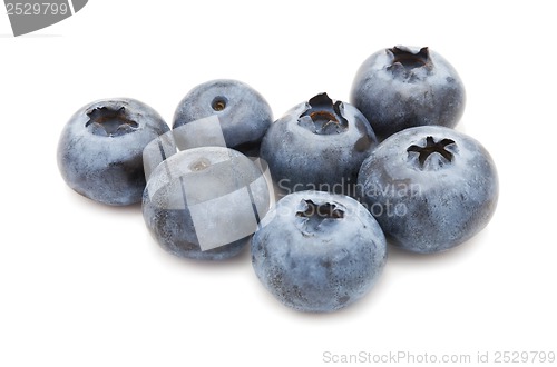 Image of Blueberry