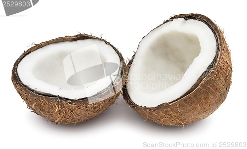 Image of Coconut