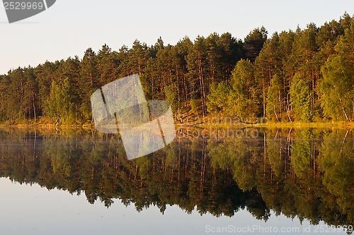 Image of Landscape at the lake