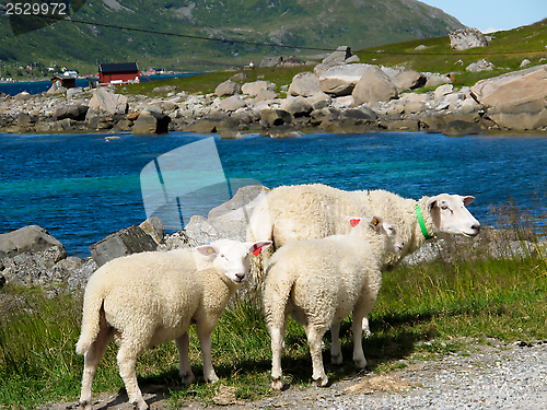 Image of Norway landscape