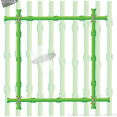 Image of  bamboo frame 