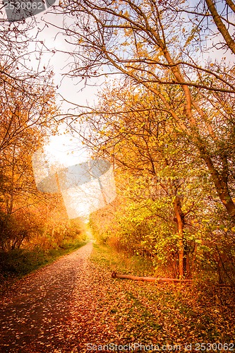 Image of Autumn landscape