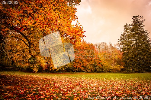 Image of Autumn landscape