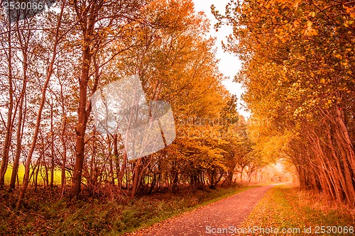 Image of Autumn landscape