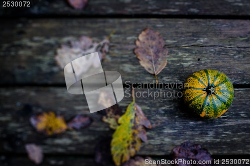 Image of Autumn pumpkin