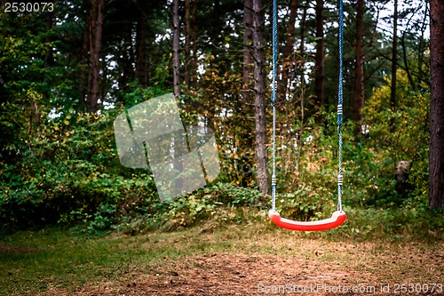 Image of Swing in forest