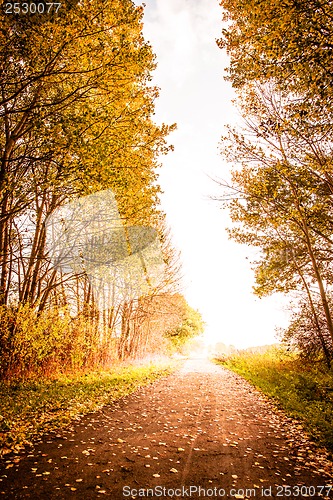 Image of Autumn landscape