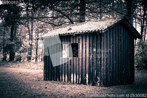 Image of Spooky cabin