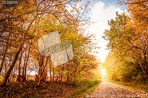 Image of Autumn landscape