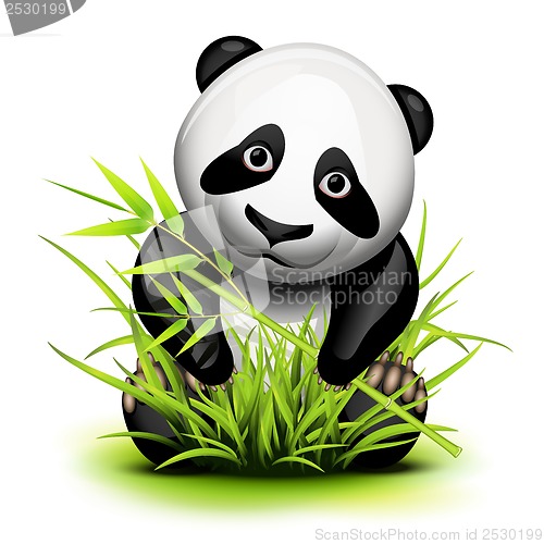 Image of Little panda