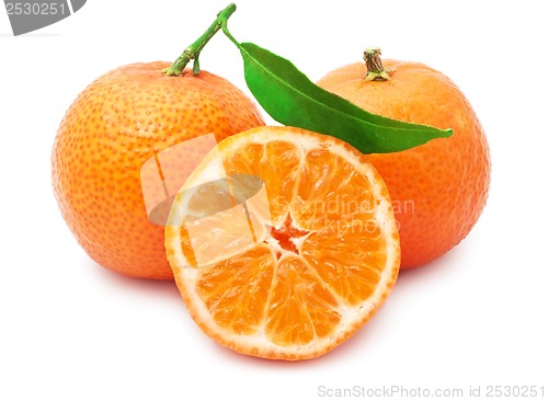 Image of Tangerines