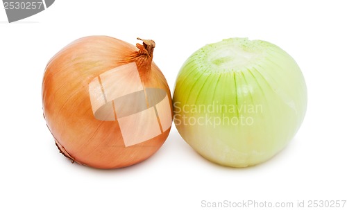 Image of Onion