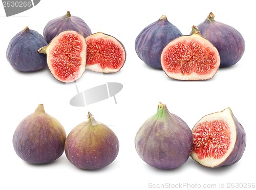 Image of Fig