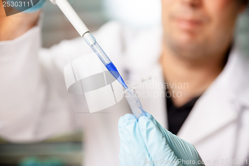 Image of laboratory