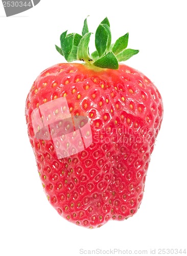 Image of Strawberry