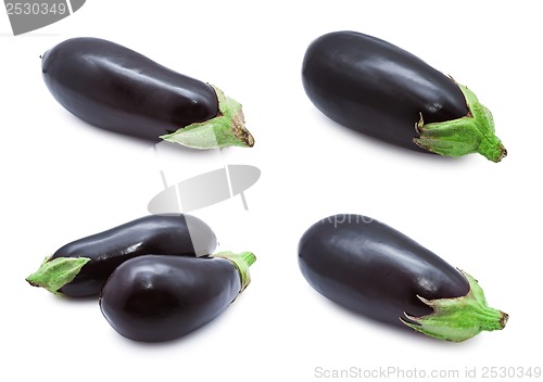 Image of Aubergine