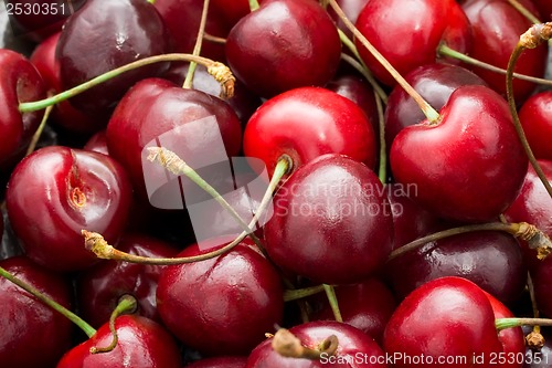 Image of Red cherry