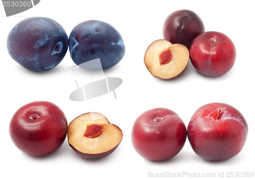 Image of Plum