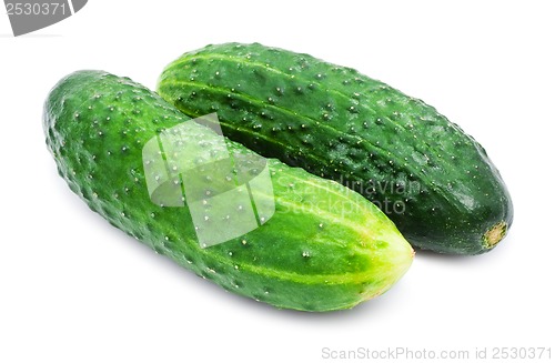 Image of Fresh cucumber