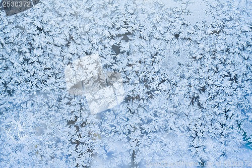 Image of Frost pattern