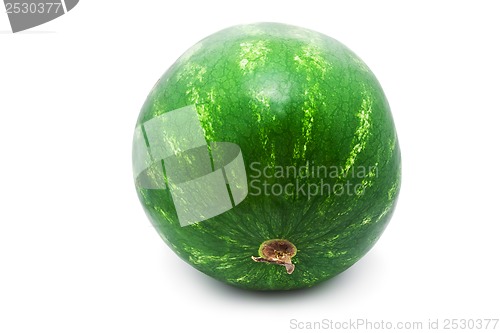 Image of Watermelon