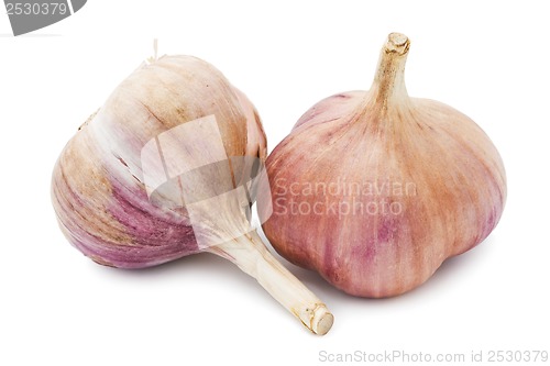 Image of Garlic