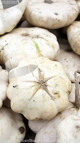 Image of Pattypan or white squash