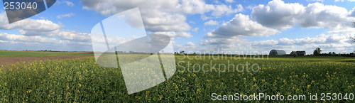 Image of Spring panorama