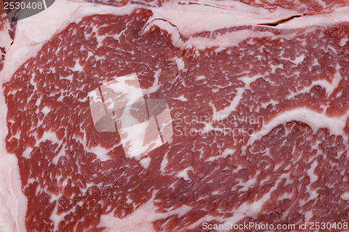 Image of Wagyu beef steak marbling