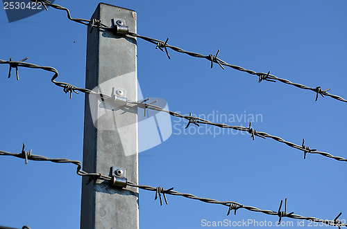 Image of Barbed wire