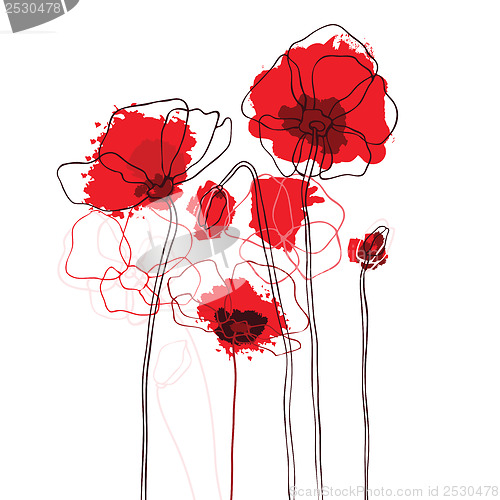 Image of Red poppies on a white background