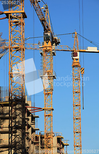 Image of tower cranes