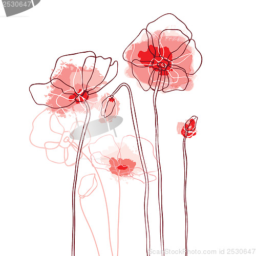Image of Red poppies on a white background