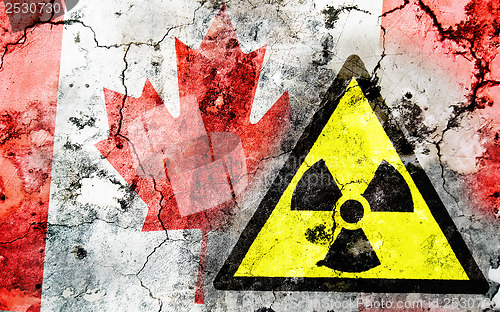 Image of Old cracked wall with radiation warning sign and painted flag