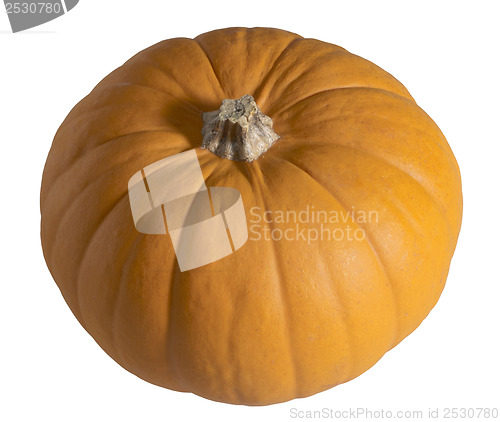 Image of pumpkin