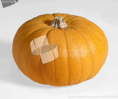 Image of orange pumpkin