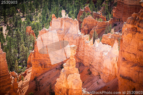 Image of Bryce Canyon