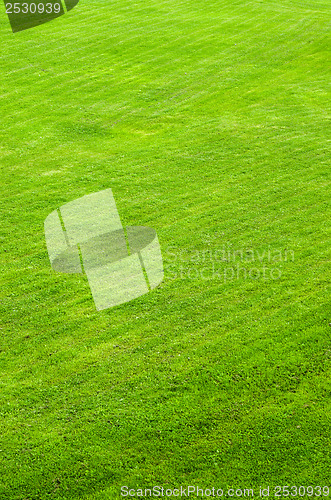 Image of trimmed green lawn, a background