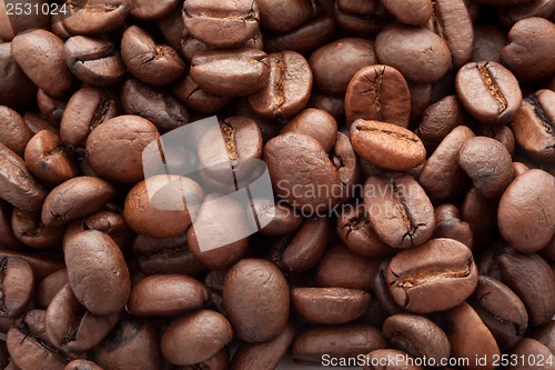 Image of Coffee beans