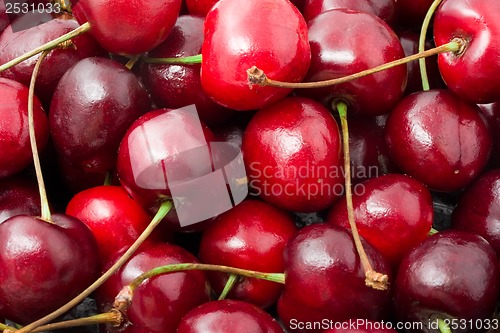 Image of Red cherry